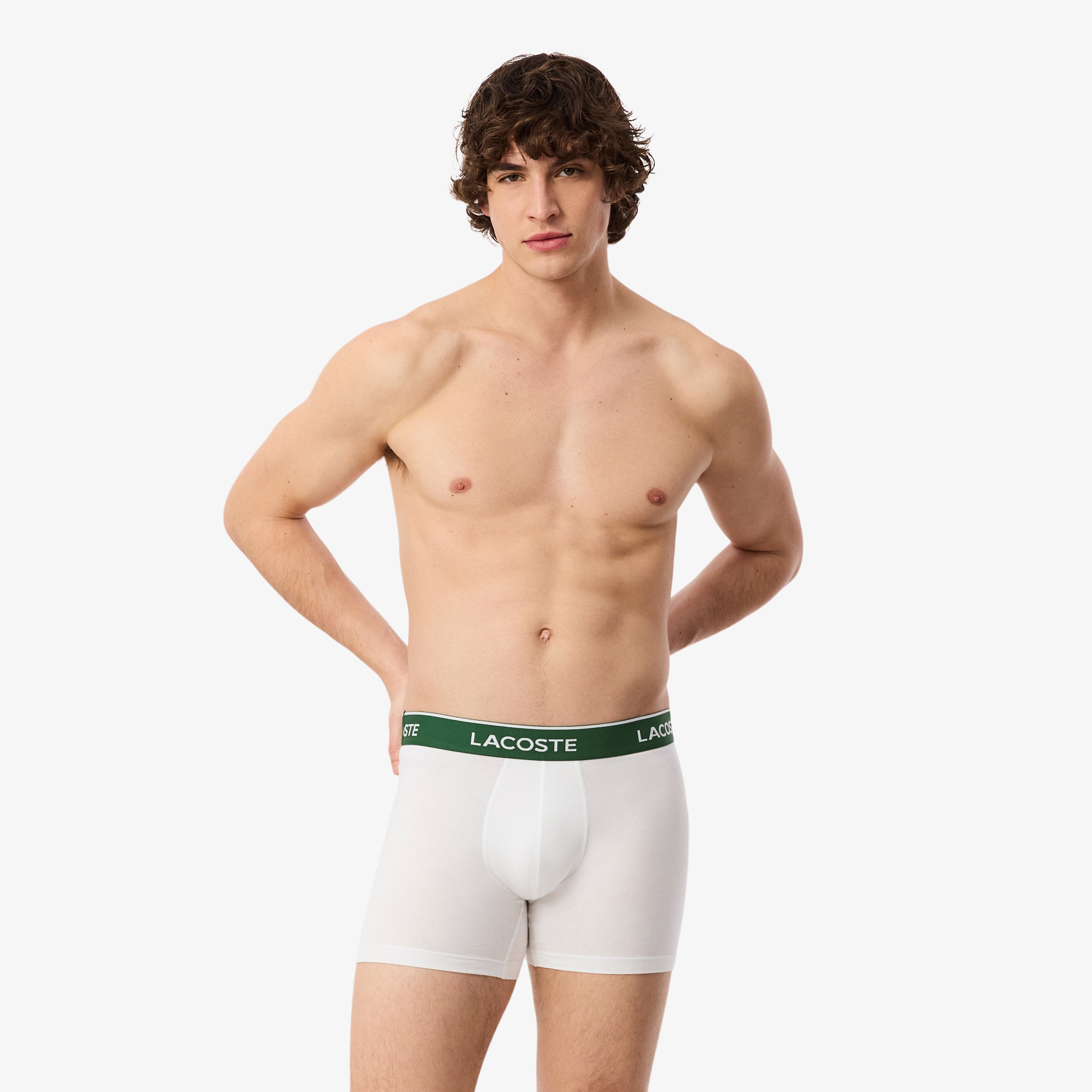 LACOSTE Men's Cotton Jersey Boxer Briefs 3-Pack
