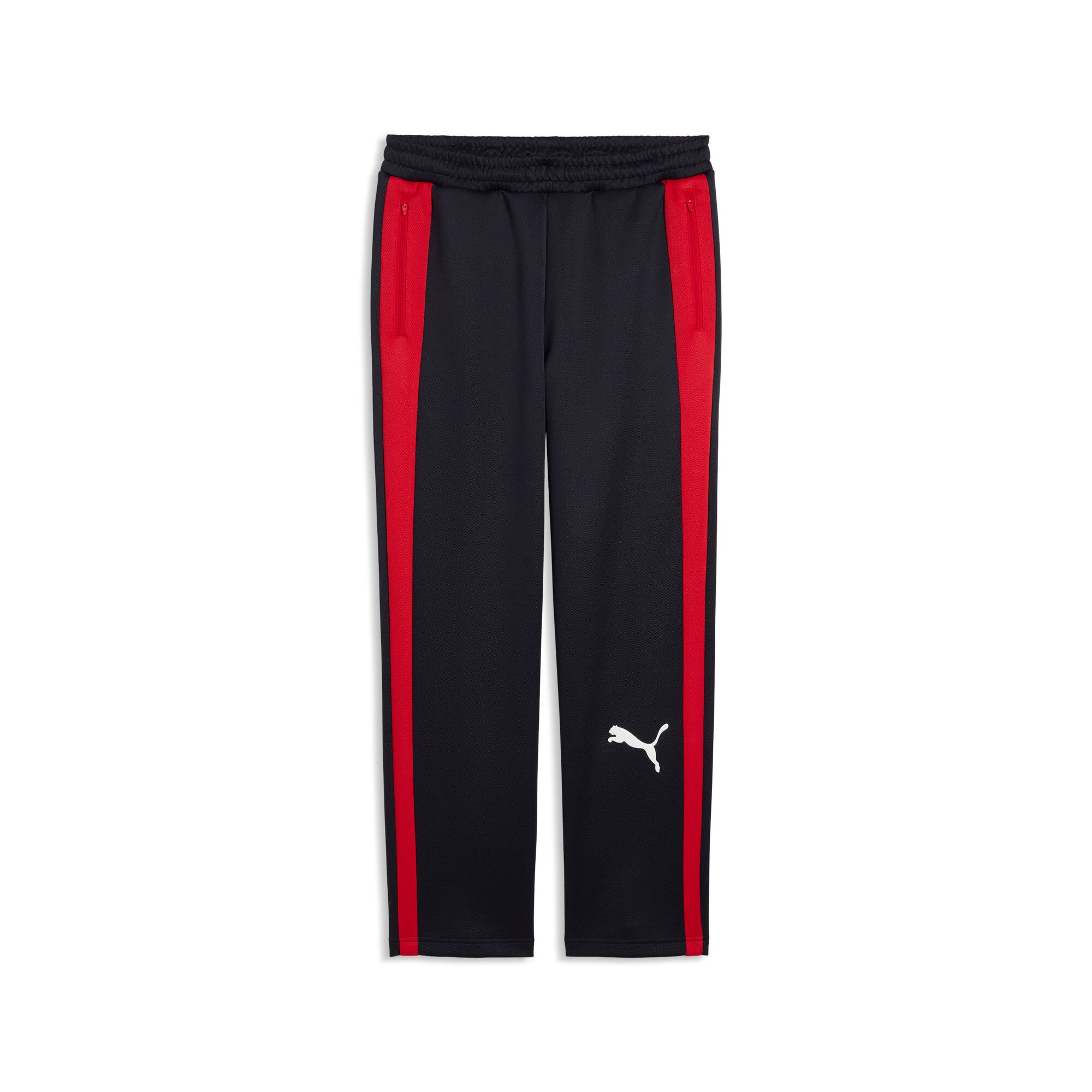 PUMA T7 Big Cat Track Pants Men