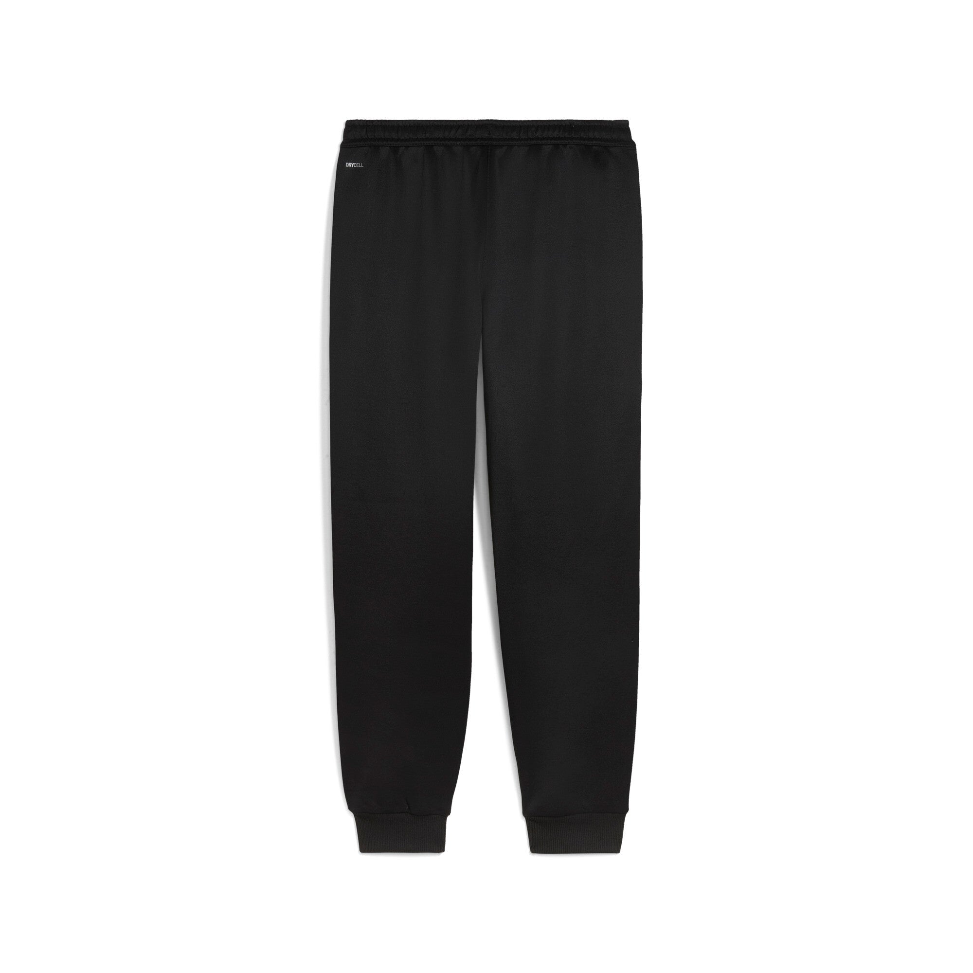 PUMA TeamKING Anthem Pants Men