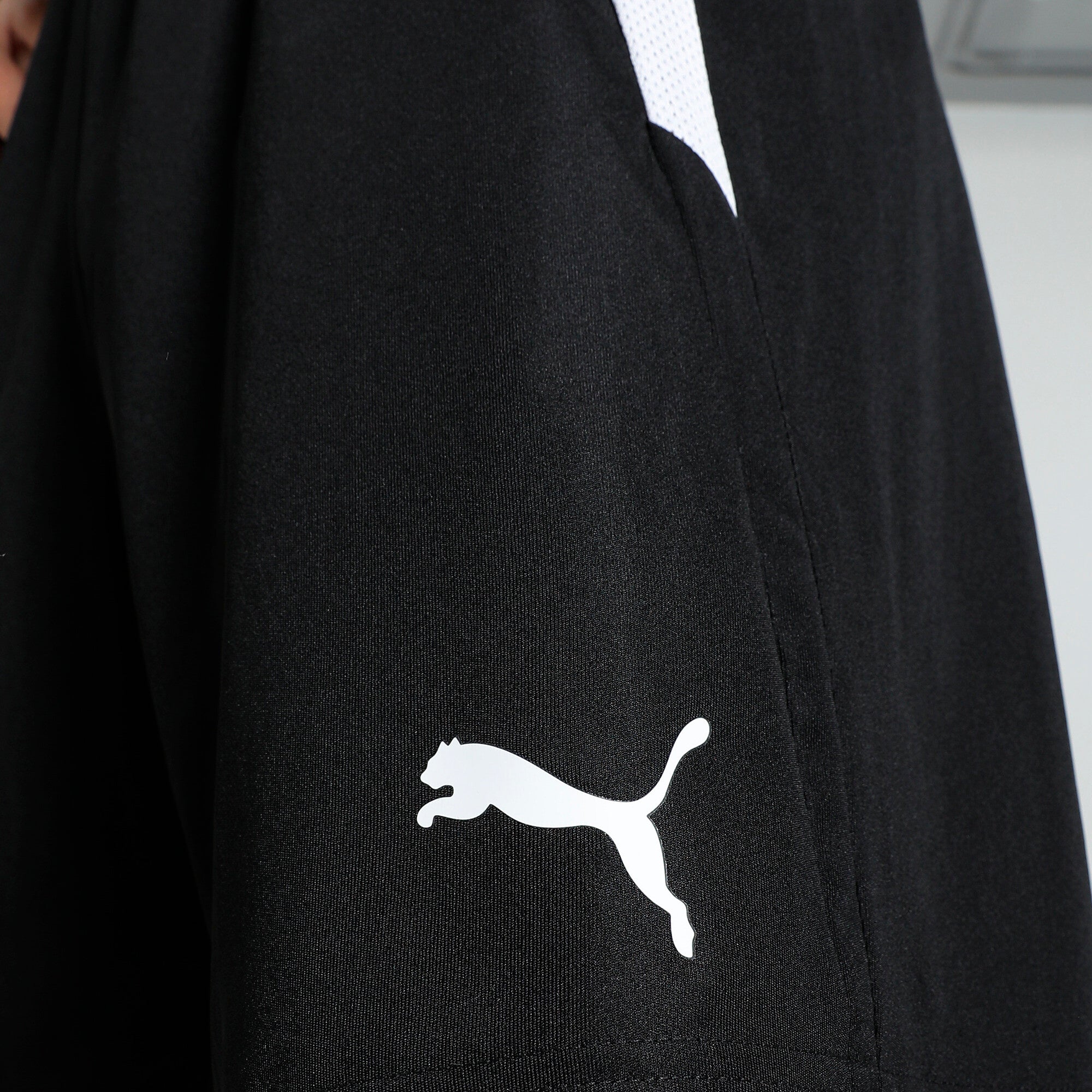 PUMA TeamLIGA Football Shorts Men