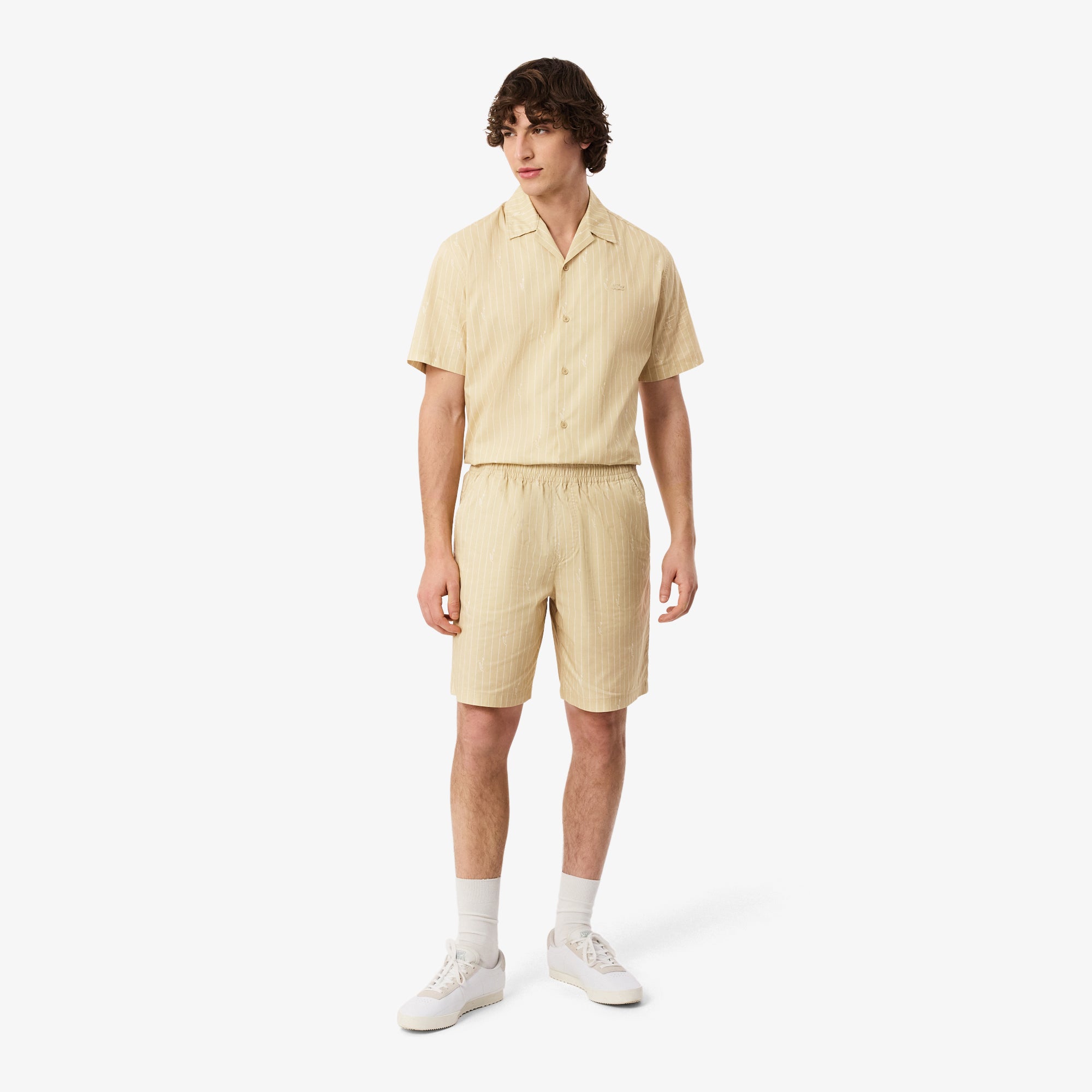LACOSTE Men Crocodile Print Stripe Cotton Shorts