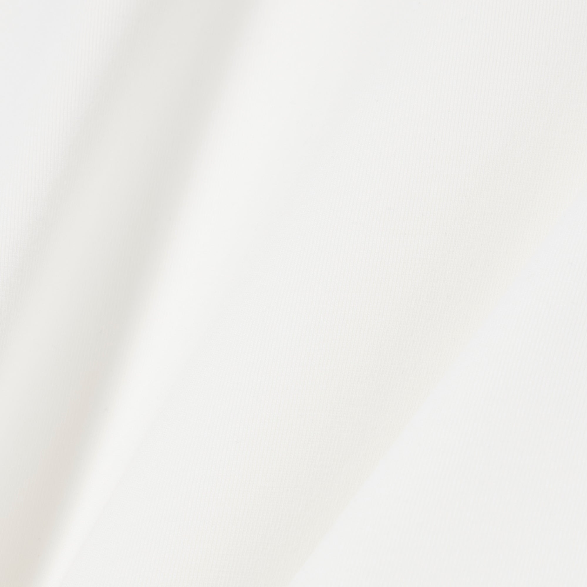 LACOSTE Branded Stripe Band T-Shirt