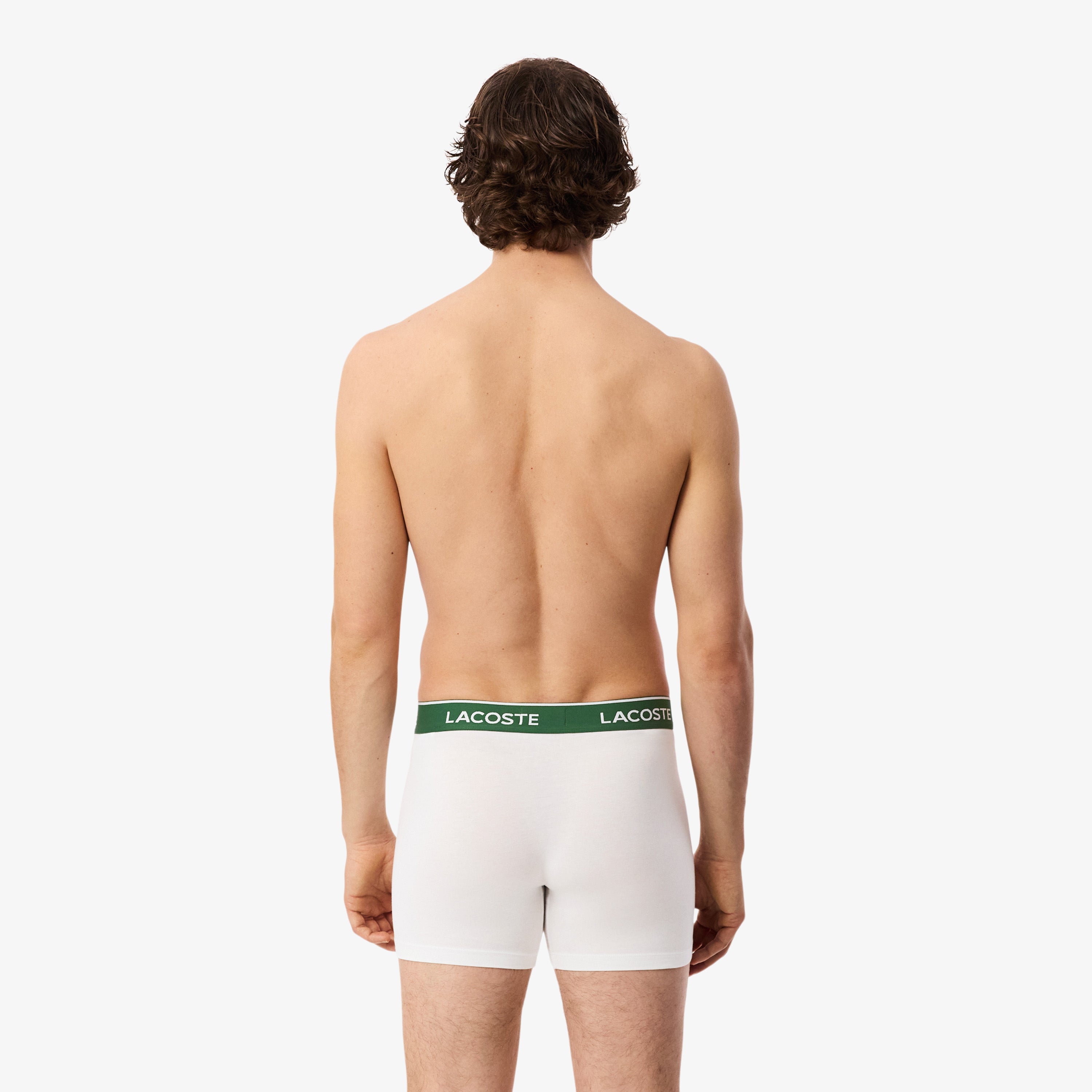 LACOSTE Men's Cotton Jersey Boxer Briefs 3-Pack