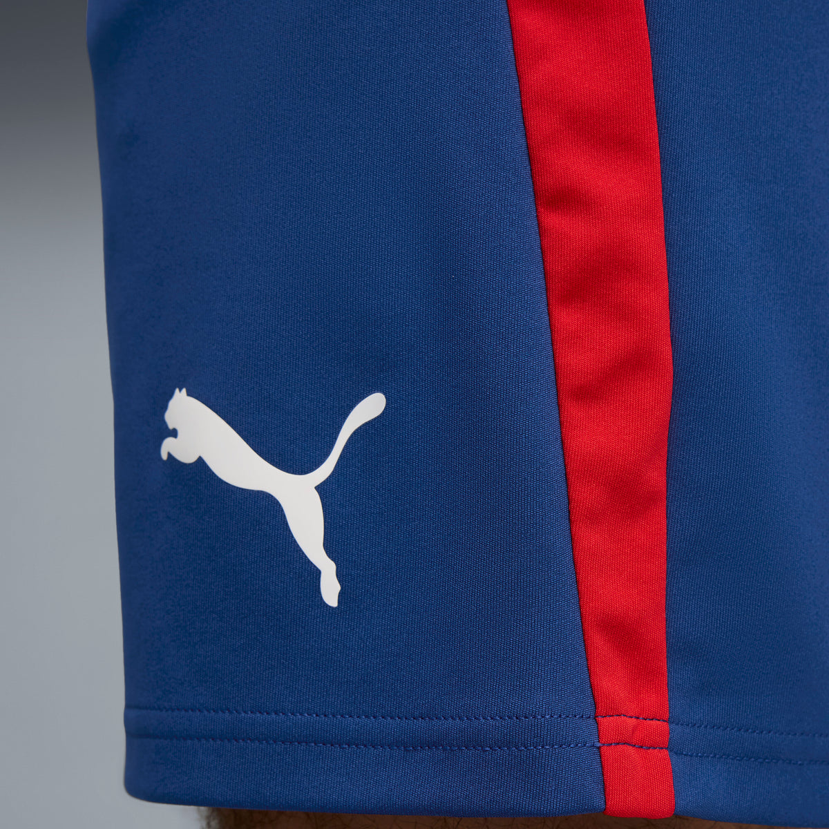 PUMA Neymar Jr Playmaker Training Football Shorts Men