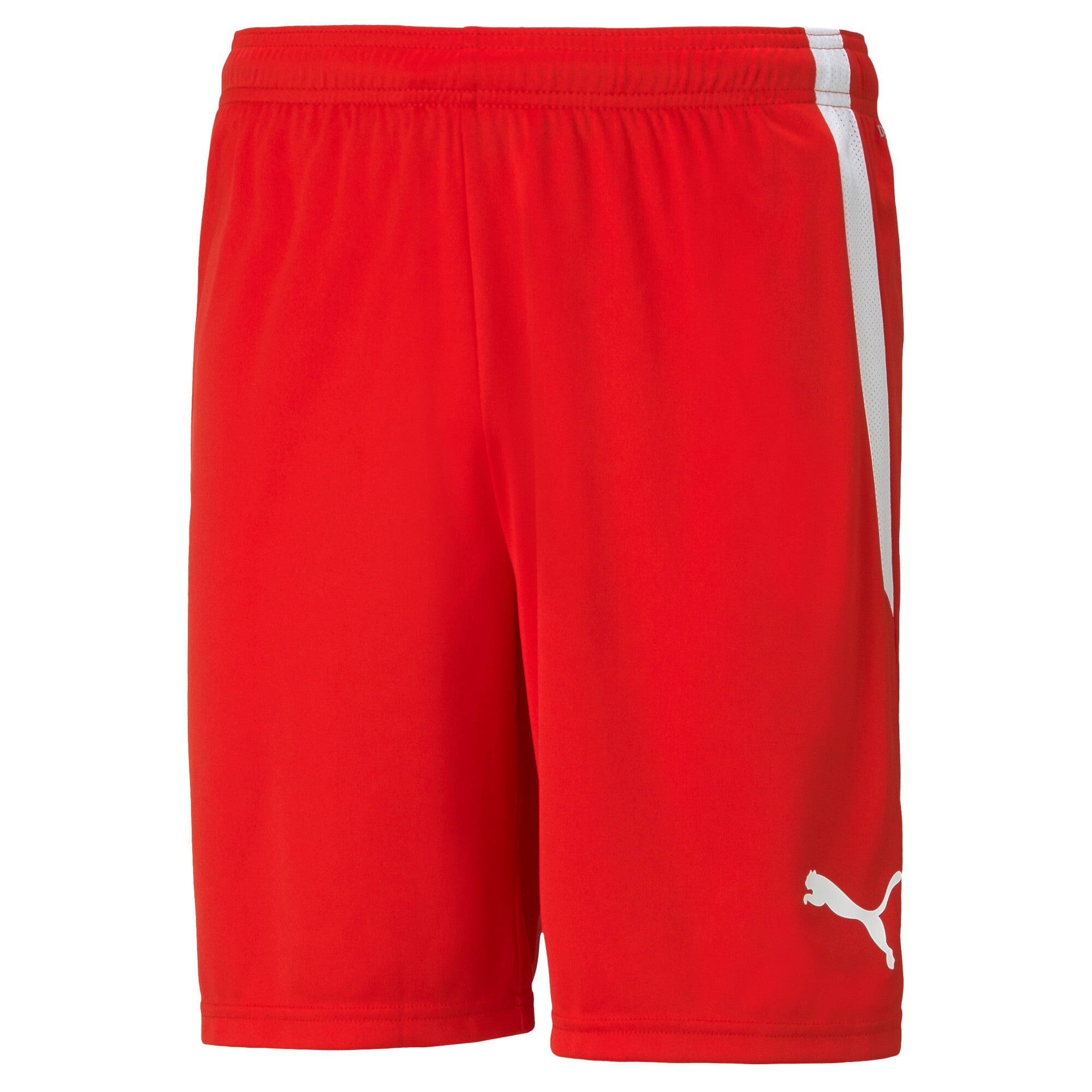 PUMA TeamLIGA Football Shorts Men