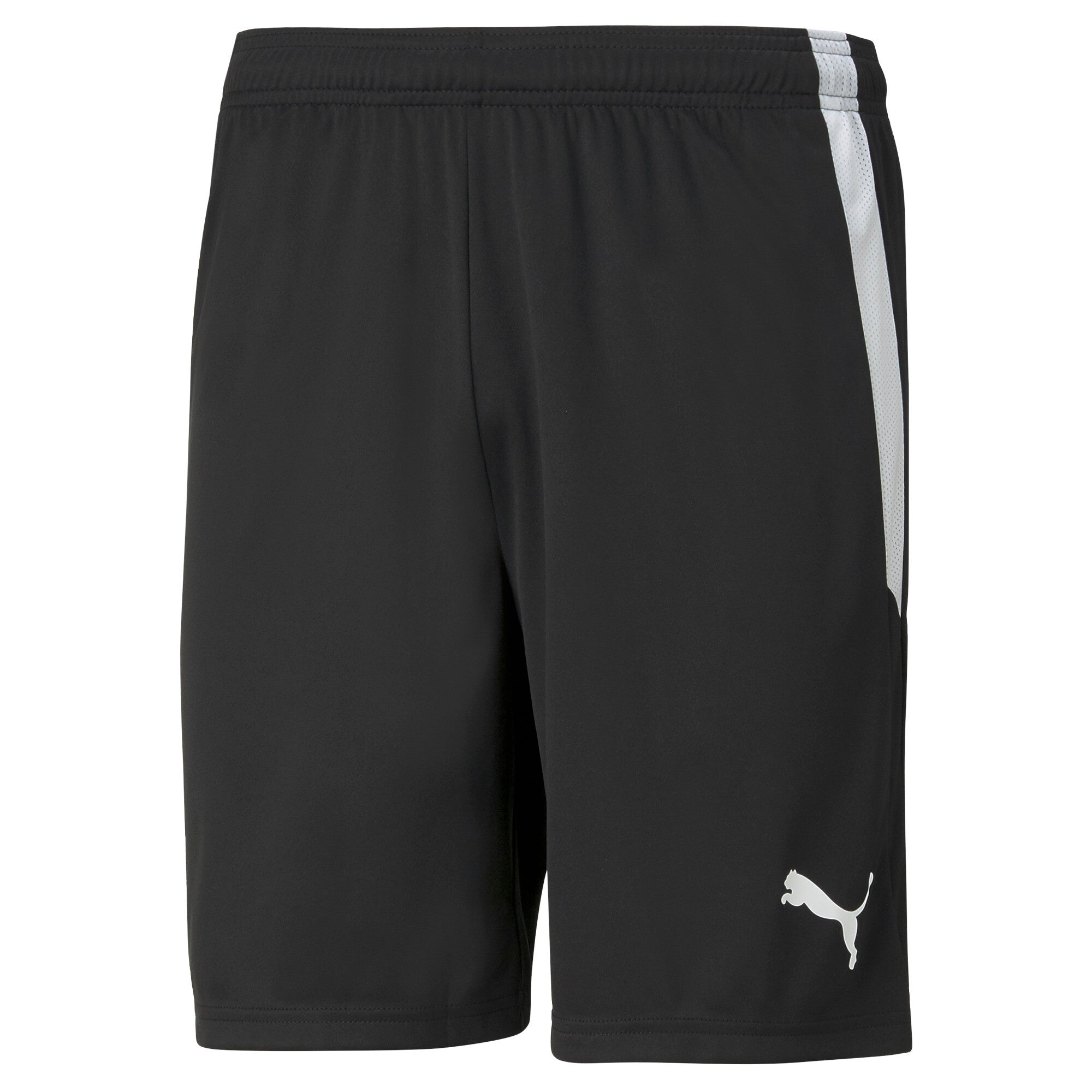 PUMA TeamLIGA Football Shorts Men