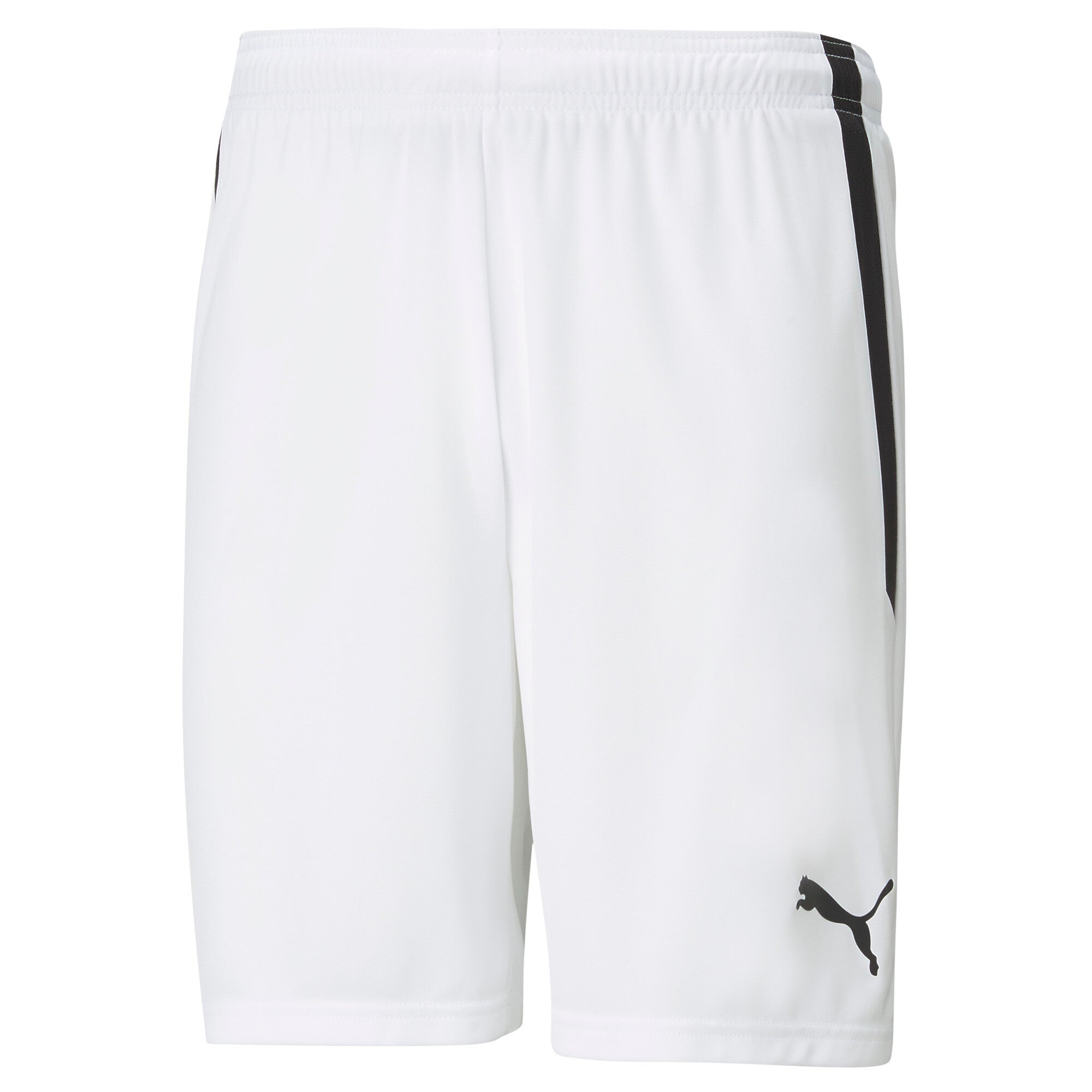 PUMA TeamLIGA Football Shorts Men