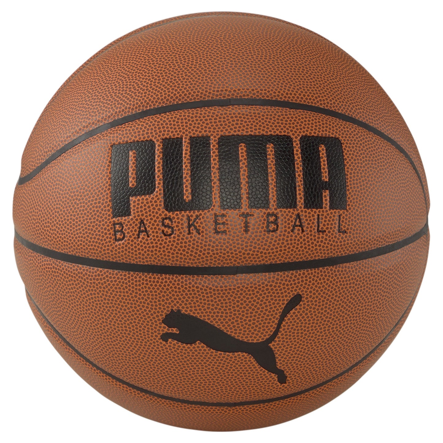 Puma Basketball